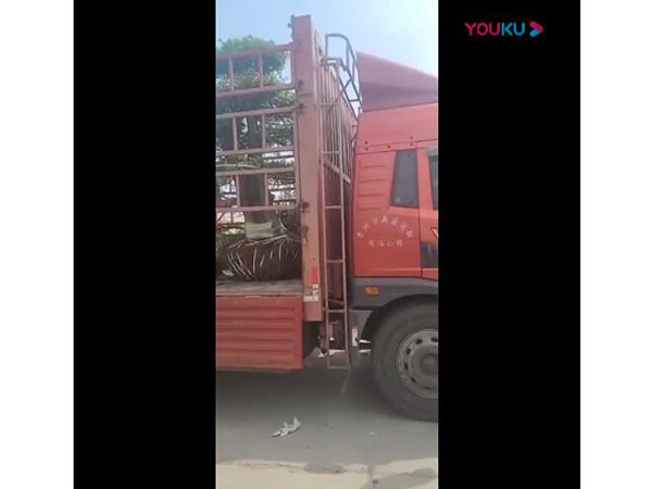 合一花卉發貨視頻，發往北京